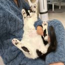 아인스동물병원 이미지