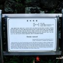 천미연대 이미지