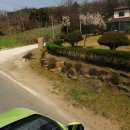 대지목장 이미지