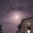 보름달행정사사무소 이미지