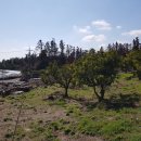 상창리-2 이미지