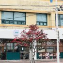 호토커피