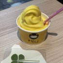 네잎크로버 소프트 이미지