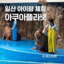 (주)아쿠아코리아 | 일산 아이랑 아쿠아리움 아쿠아플라넷 바다코끼리 체험