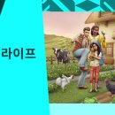 더온라이프 이미지