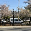 동촌새마을금고 앞 이미지