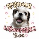 [ 일상] 코스트코 전복찜 & 연어 숙성 실패 후기, 간단한 연어장 레시피(간장 안 끓임), 형곡동 가장...