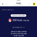 캐스캐이드 이미지