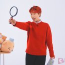 제제모드 이미지