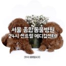 센트럴종합동물병원 이미지