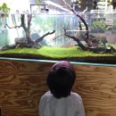 연못들2 | 영종도갈만한곳 수족관카페 작은연못 아이랑 먹이주기체험 후기