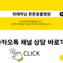 눈이튼튼 동물병원 네이버블로그
