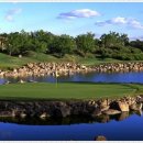 대등축산 이미지