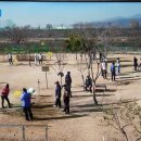 금호강변(세천파크골프장) 이미지