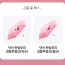 우산정보 이미지