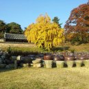 황지산농장 이미지