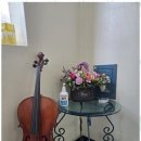 도레미피아노음악학원 이미지