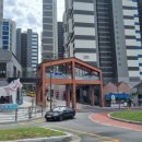 로히커피 이미지