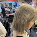 도영1호 이미지