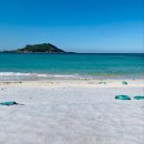 제주도파티게스트하우스문어오빠