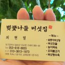 벚꽃나들버섯집 이미지