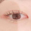 [한티역] 선릉역 사이 &#39;글램네일&#39; 너무 좋아하는 속눈썹 펌 후기! 유지 기간 (와우래쉬앰플추천)