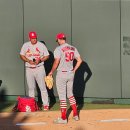 에이스 스타디움 | 예매 Ballpark 앱 가이드, 부시 스타디움(이정후 사인 후기)·카우프만 스타디움·다이킨 파크 직관 후기