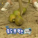 코코넛