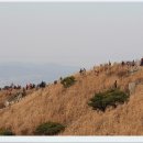 오서산꿈의궁전 이미지