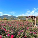 경남남도 수목원(동물원) | 부산 장미공원 해운대수목원 장미축제 놀이터 경남 동물원