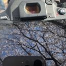 고흥읍 학교길 이미지