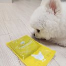 저단46 이미지