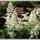 플라워&홈가드닝 이미지