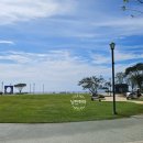 A Spirit of Journey(에이 스피릿 오브 저니) 이미지