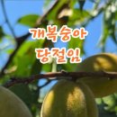 쌍향수길 이미지