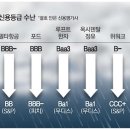 보잉 A-→BBB…글로벌기업 줄줄이 신용등급 추락 이미지