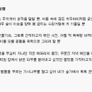 내 시는 흩어진 편린일 뿐 - 이성렬 이미지