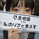 카쿠나이프 | 09.18 히츠지분카쿠 양문학(羊文学) 내한콘 후기