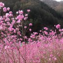 춘천여자고등학교 이미지