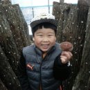 지리산천령표고농원 이미지