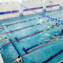 청소년수련관 수영장 이미지