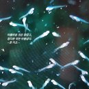 생선가게어물전 티스토리