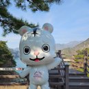 GS25단양나루점 | 충북 단양 가볼만한곳 단양8경 옥순봉 구담봉 충주호유람선 장회나루