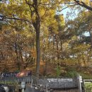 좋은숲부동산공인중개사사무소 이미지