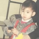 진화로