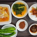 손씨네 손맛