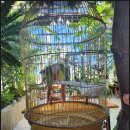 뷰 제주하늘 이미지