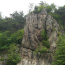 서대산약초