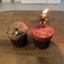 부춘1로 | 경남 거제도 반려견동반 가능 독채펜션 공간부춘 숙소 후기