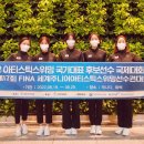 스위밍 뉴스1